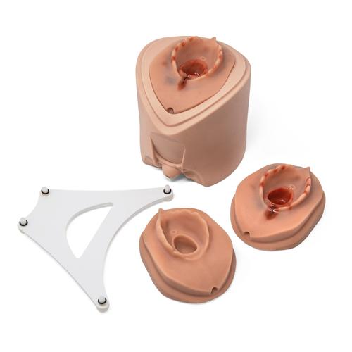Dammnaht-Trainingsmodul f&uuml;r Geburtssimulator P90
, 1022212 [P96], Geburtshilfe