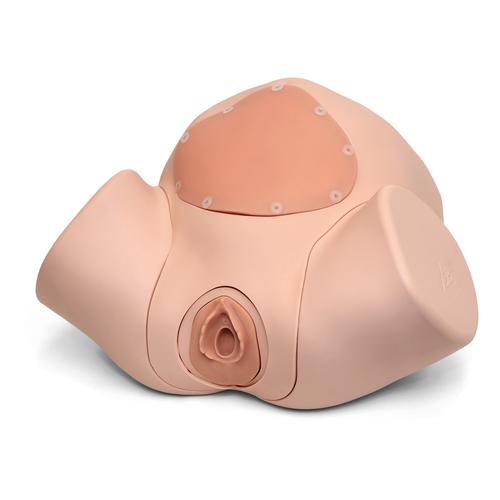 Dammnaht-Trainingsmodul f&uuml;r Geburtssimulator P90
, 1022212 [P96], Geburtshilfe