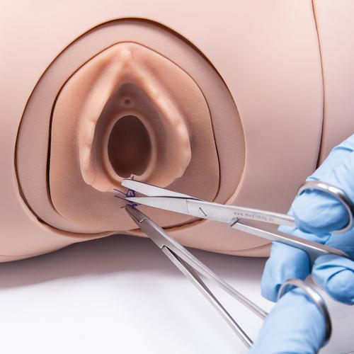 Módulo de formación en sutura de episiotomía para Simulador de Parto P90, 1022212 [P96], Options
