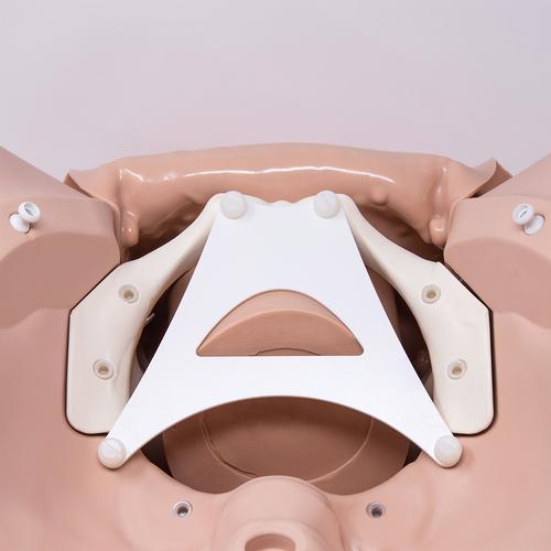 Episiotomy Suture Training Module for Birthing Simulator P90, Light Skin
, 1022212 [P96], Obstetrics