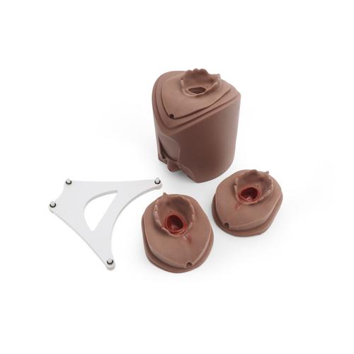 M&oacute;dulo de treinamento de sutura de episiotomia para simulador de parto P90 pele escura
, 1023331 [P96D], Obstetr&iacute;cia