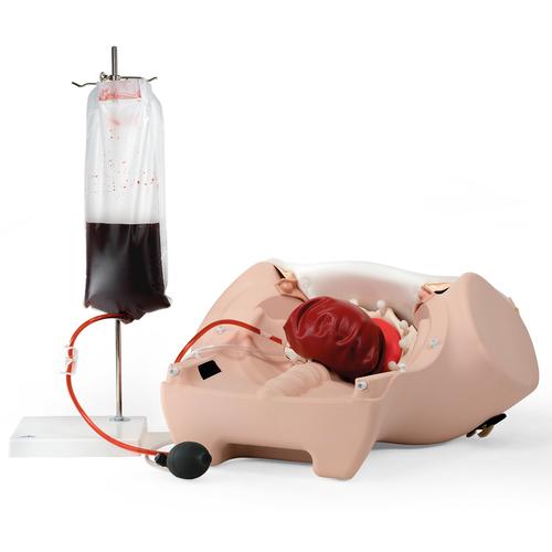 SIMULADOR DE HEMORRAGIA P&Oacute;S-PARTO P97, 1021568 [P97], Obstetr&iacute;cia