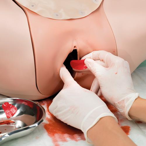 SIMULADOR DE HEMORRAGIA P&Oacute;S-PARTO P97, 1021568 [P97], Obstetr&iacute;cia