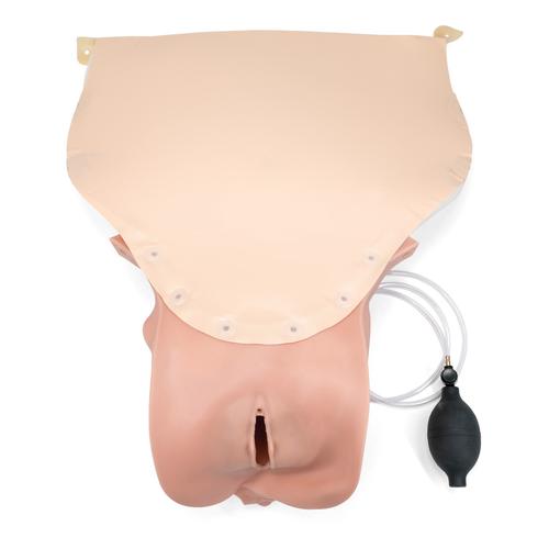 PPH Trainer P97-Modul, 1021567 [P97M], Geburtshilfe