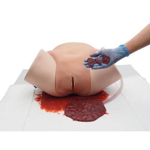 산후 출혈 시뮬레이터 - PPH 트레이너 P97 PRO  Postpartum Hemorrhage Simulator – PPH Trainer P97 PRO, 1023727 [P97P], 산과