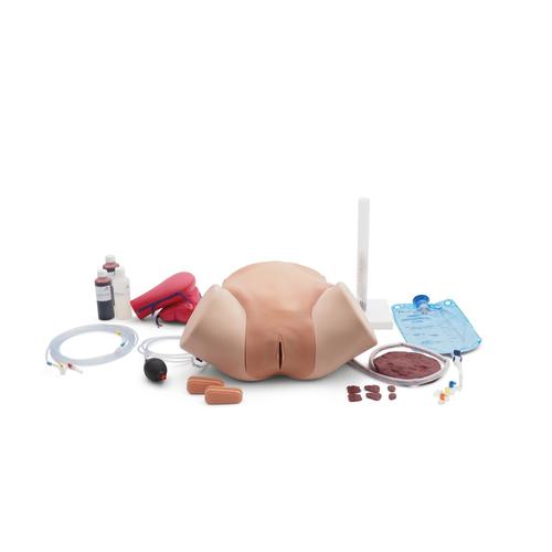 Postpartum Hemorrhage Simulator – PPH Trainer P97 PRO, 1023727 [P97P], Geburtshilfe