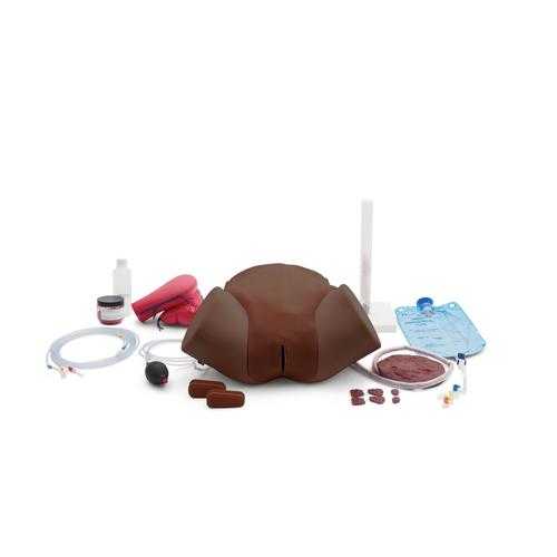 Simulador de hemorragia posparto &ndash; Entrenador para HPP P97D PRO&nbsp;tono de piel oscuro, 1023975 [P97PD], Obstetricia