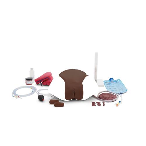P97D PRO m&oacute;dulo HPP para simulador de parto P90D, 1023976 [P97PMD], Obstetr&iacute;cia