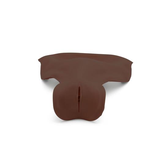 P97D PRO m&oacute;dulo HPP para simulador de parto P90D, 1023976 [P97PMD], Obstetr&iacute;cia