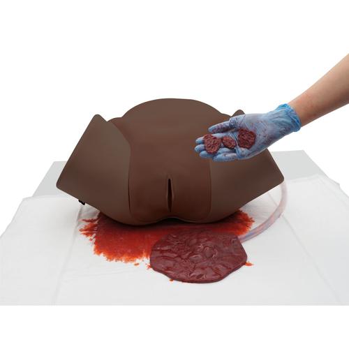 P97D PRO m&oacute;dulo HPP para simulador de parto P90D, 1023976 [P97PMD], Obstetr&iacute;cia