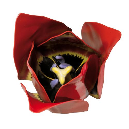 Tulpenbl&uuml;te (Tulipa gesneriana), Modell, 1017832 [T210101], Einkeimbl&auml;ttrige Pflanzen
