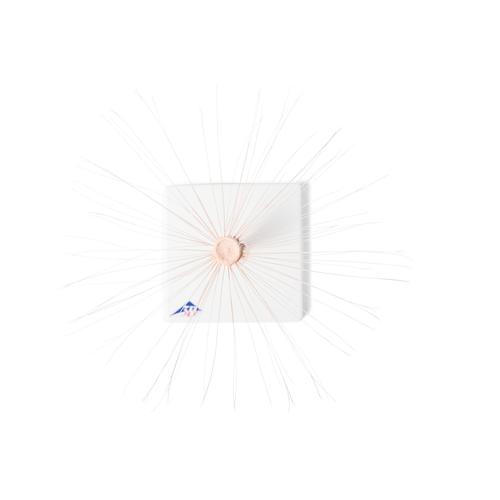 Цветок одуванчика (Taraxacum officinale), модель, 1000532 [T21022], Двудольные растения