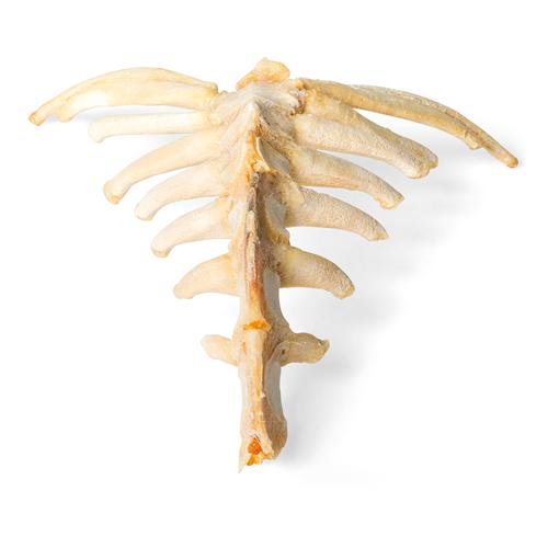 Caballo (Equus ferus caballus), esternón, 1021055 [T30059], Osteología