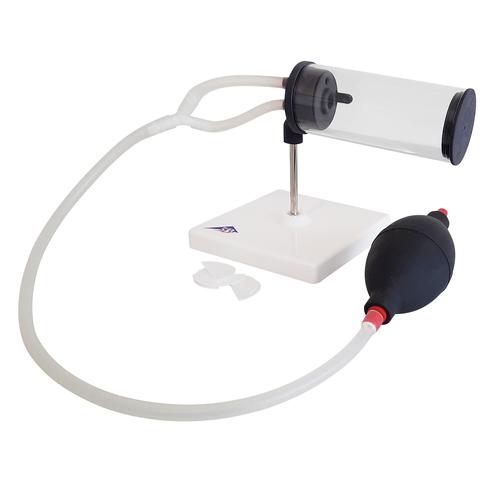 Modello di fumatore 3in1, attivo, passivo e di terza mano, 1022655 [T6000], Strumenti didattici sul fumo