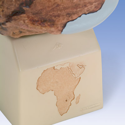 Antropológiai koponya - Broken Hill, 1001297 [VP754/1], Koponya modellek