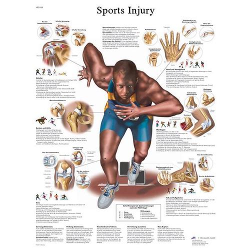 Sports Injury STICKYchart™, VR1188S, Fitness