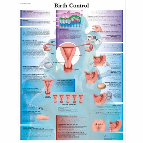 Birth Control Chart, 1001580 [VR1591L], Gynaecology