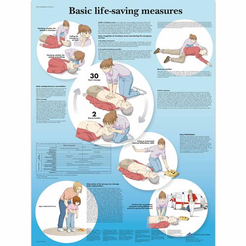 Basic Life Support Chart, 4006725 [VR1770UU], Emergency and CPR