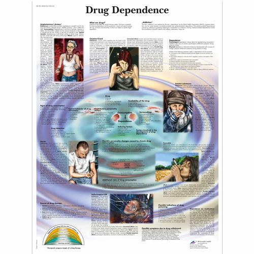 Drug Dependence Chart, 4006726 [VR1781UU], Drug and Alcohol Education