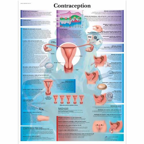 Contraception, 4006790 [VR2591UU], Education à la Santé