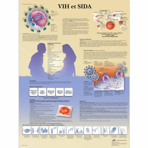 Lehrtafel - VIH et SIDA, 1001778 [VR2725L], Sexualaufkl&auml;rung