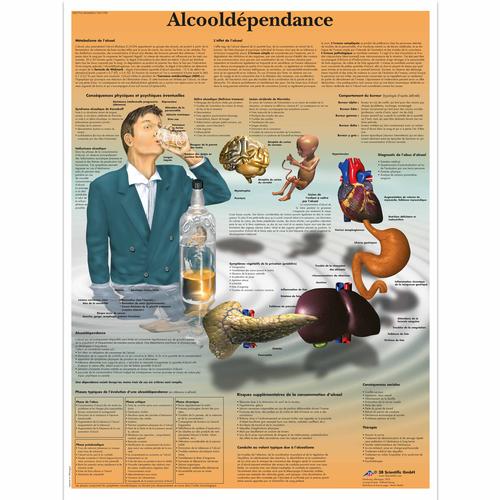 Alcoolodependance, 1001789 [VR2792L], Dépendance