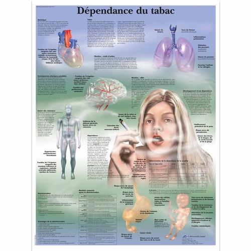 Dépendance du tabac, 4006810 [VR2793UU], 吸烟教育示意图