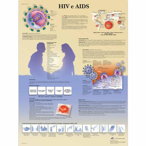 HIV e AIDS, 4006972 [VR4725UU], Sex Education