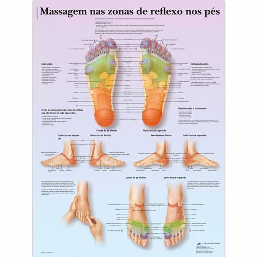 Massagem nas zonas de reflexo nos pés, 4007018 [VR5810UU], Acupuntura
