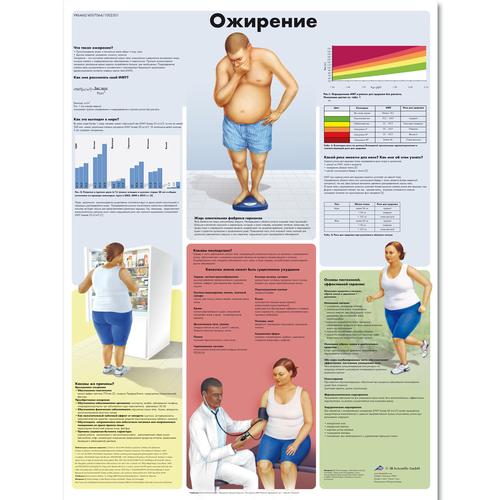 Медицинский плакат "Ожирение", 1002301 [VR6460L], Stoffwechselsystem