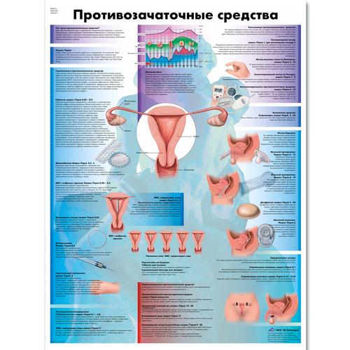 Birth Control Chart, 1002321 [VR6591L], Gynaecology
