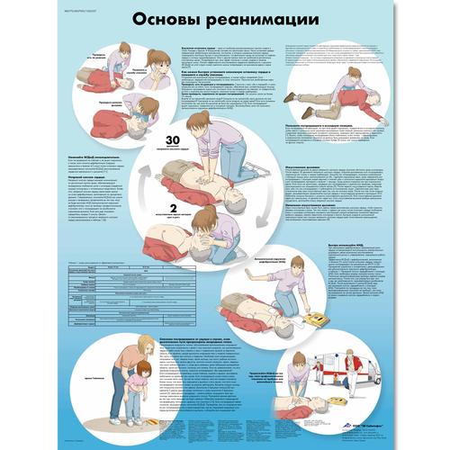 Медицинский плакат "Основы реанимации", 1002357 [VR6770L], Catastrophe et réanimation cardio-respiratoire