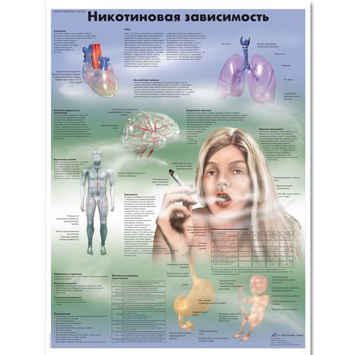 Медицинский плакат "Никотиновая зависимость", 1002363 [VR6793L], Плакаты по вредным привычкам