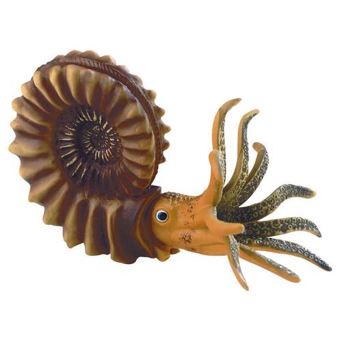 Ammonite, model, 1018515 [W12400], Fossils