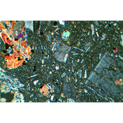 Горные породы и минералы, основной набор № II - на немецком языке, 1013335 [W13063], Микроскопы Слайды LIEDER