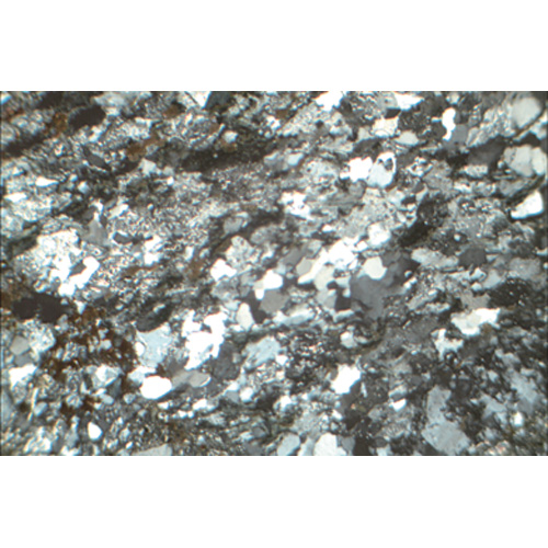 Gesteinsdünnschliffe, Fossilen und Meteorite, 1018505 [W13153], Fossilien