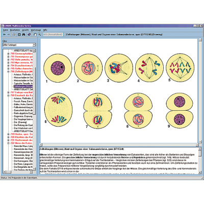 CD con imágenes microscópicas, 1004270 [W13451], Software de biología