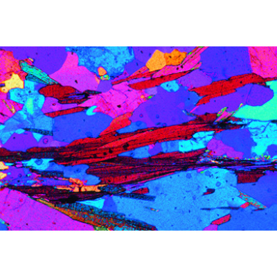 Шлифы горной породы, базовая серия 2, 1012498 [W13455], Микроскопы Слайды LIEDER