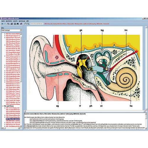 Sense organs as a window to the world, Interactive CD-ROM, 1004276 [W13507], Biology Software
