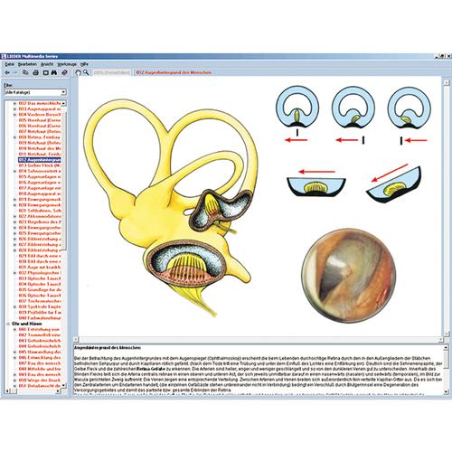 Die Sinnesorgane als Tor zur Umwelt,Interaktive CD-ROM, 1004276 [W13507], Biologie Software