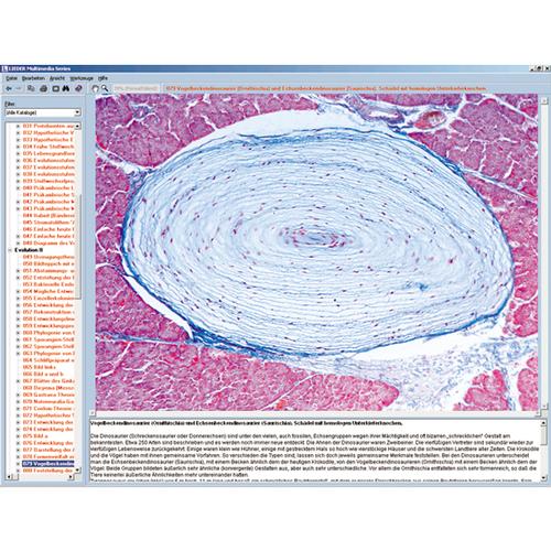 Órgãos do sentido como uma janela ao mundo, 1004276 [W13507], Software de Biologia