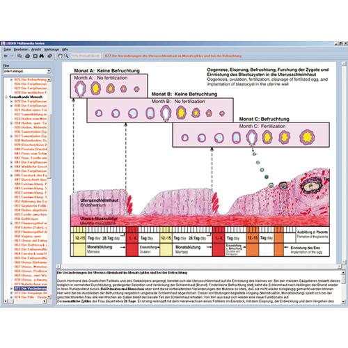 Reproduction and sex instruction; Interactive CD-ROM, 1004279 [W13510], 생물학 소프트웨어