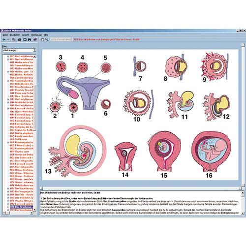 Reproduction and sex instruction; Interactive CD-ROM, 1004279 [W13510], 생물학 소프트웨어