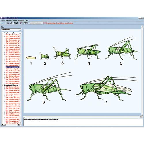 The World of Insects, Interactive CD-ROM, 1004291 [W13522], 생물학 소프트웨어