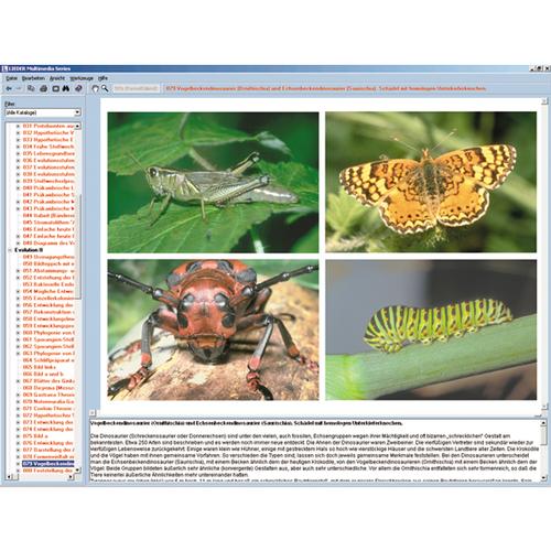 Le monde des insectes, CD-ROM, 1004291 [W13522], Logiciels de biologie
