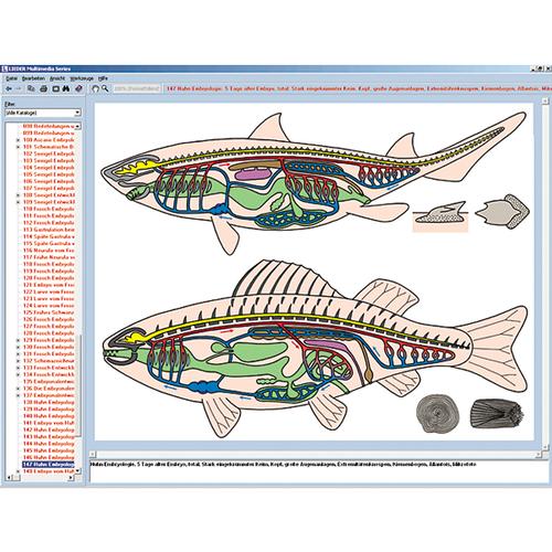 Zoology in the Classroom, Interactive CD-ROM, 1004292 [W13523], Biology Software