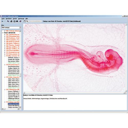 Zoology in the Classroom, Interactive CD-ROM, 1004292 [W13523], Biology Software