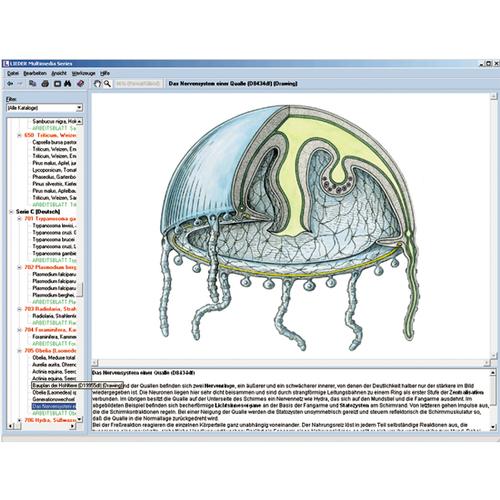 Zoology in the Classroom, Interactive CD-ROM, 1004292 [W13523], 생물학 소프트웨어