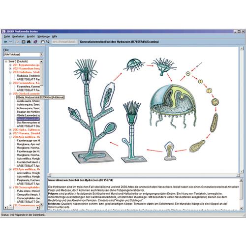 Tierkunde im Unterricht, Interaktive CD-ROM, 1004292 [W13523], Biologie Software