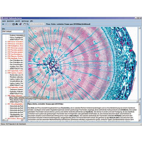 Botany in the Classroom, Interactive CD-ROM, 1004294 [W13525], 생물학 소프트웨어